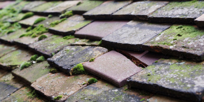 Gosfield roof repair costs